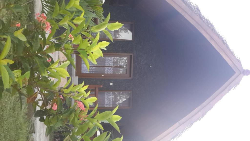 מלון Pemenang Rose Bungalow מראה חיצוני תמונה